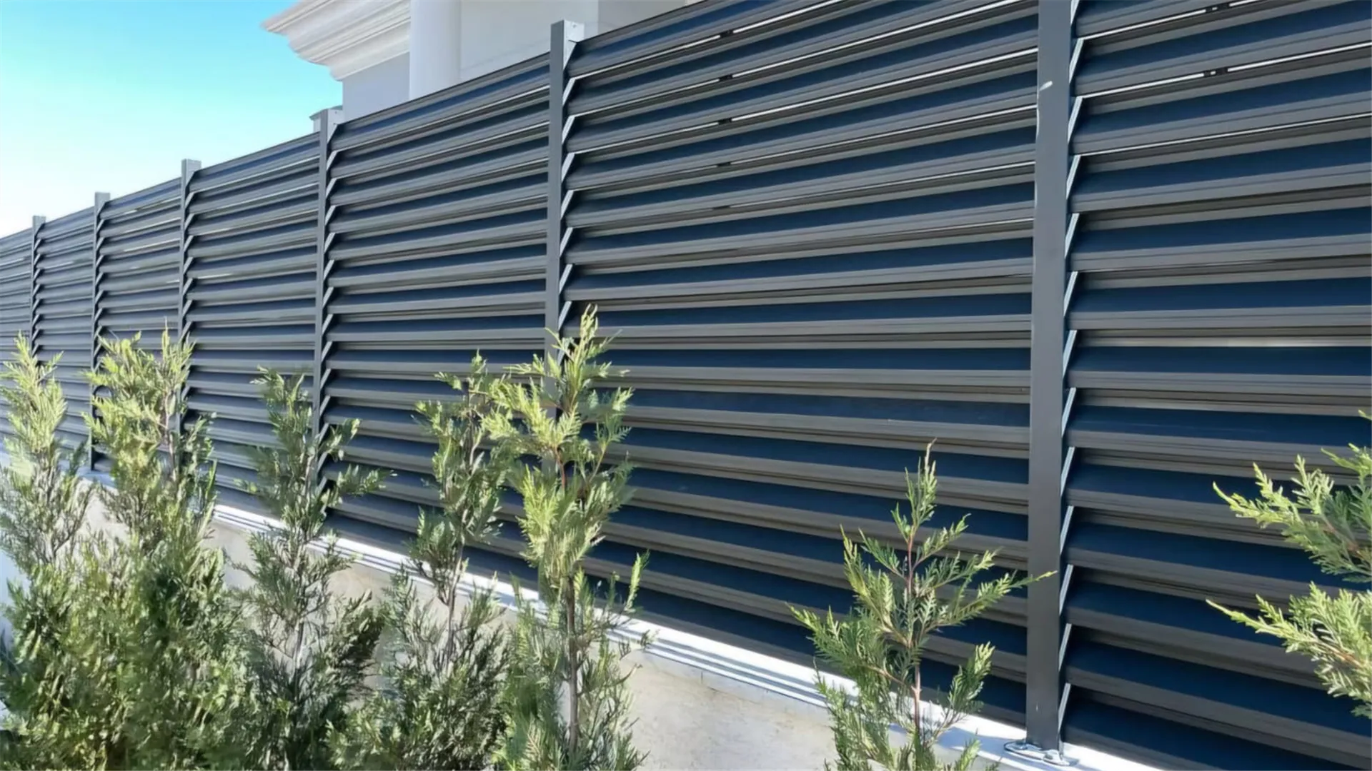 Panjur Çit 1017